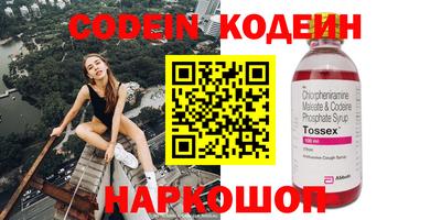 тгк Кингисепп
