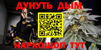 тгк Кингисепп