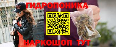 тгк Кингисепп