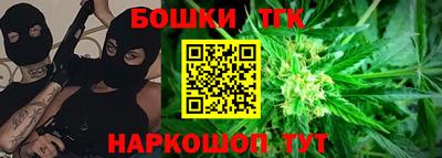 тгк Кингисепп