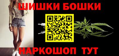 тгк Кингисепп