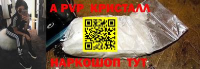 тгк Кингисепп