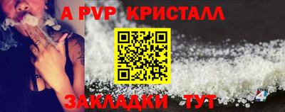 тгк Кингисепп
