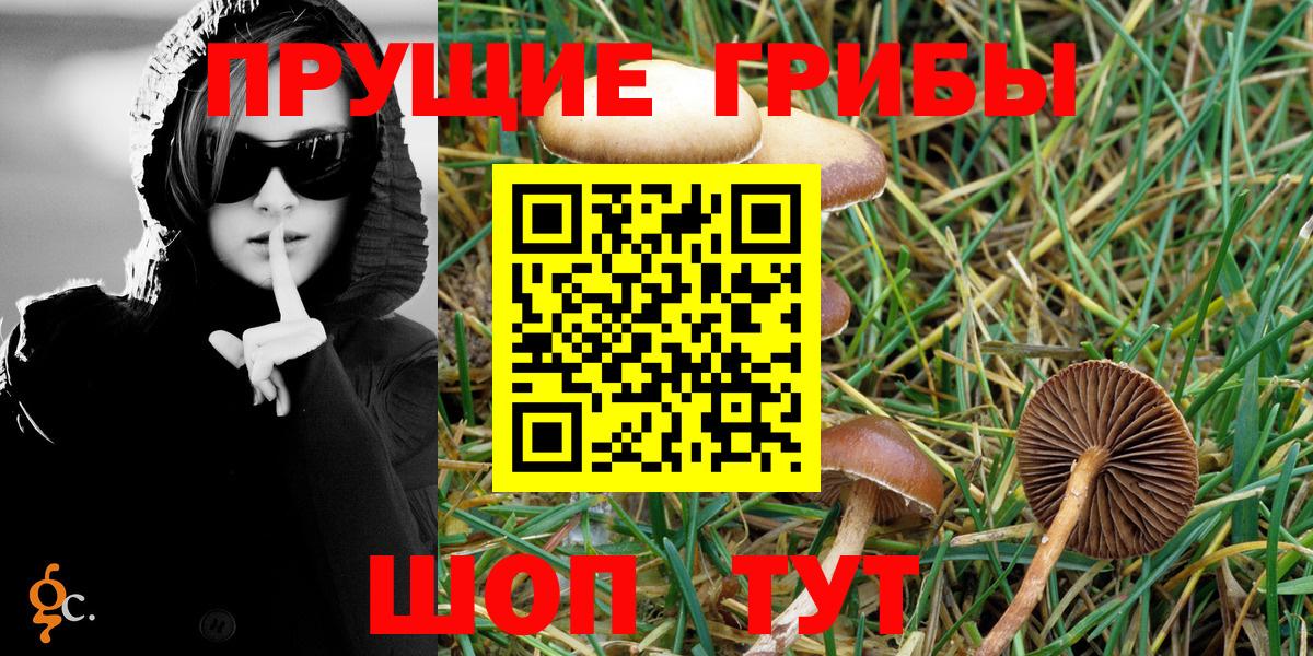 Галлюциногенные грибы Magic Shrooms  Вход с VPN  Псилоцибиновые грибы Cubensis  Торжок 