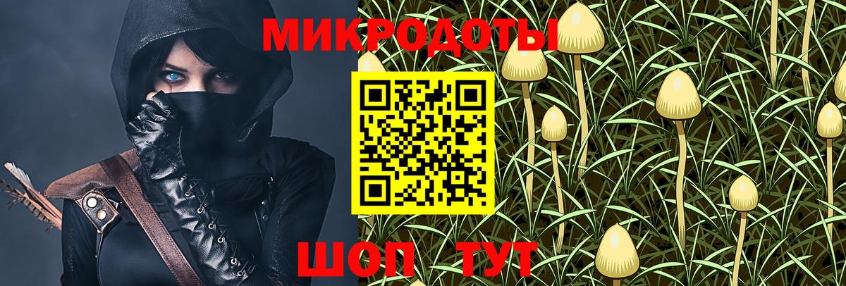 Псилоцибиновые грибы GOLDEN TEACHER Торжок